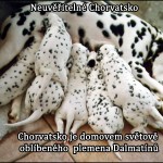 Neuvěřitelné Chorvatsko: 25 věcí o Chorvatsku které vás ohromí