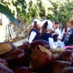 Chorvatsko je domov jedlých kaštanů