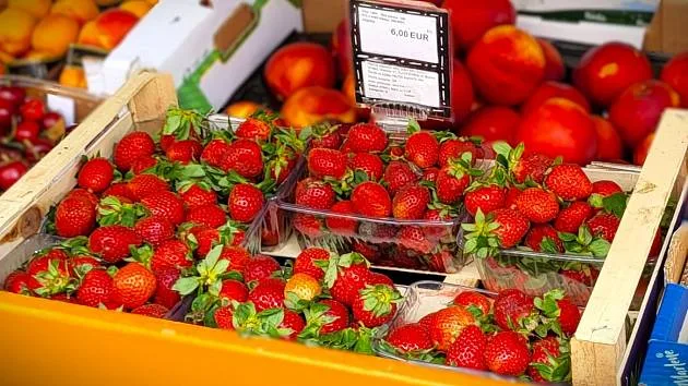 Slavné jahody z Vrgorace: Nejlepší ovoce v Chorvatsku