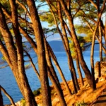 Lošinj mezi 100 nejlepšími příběhy udržitelného turismu