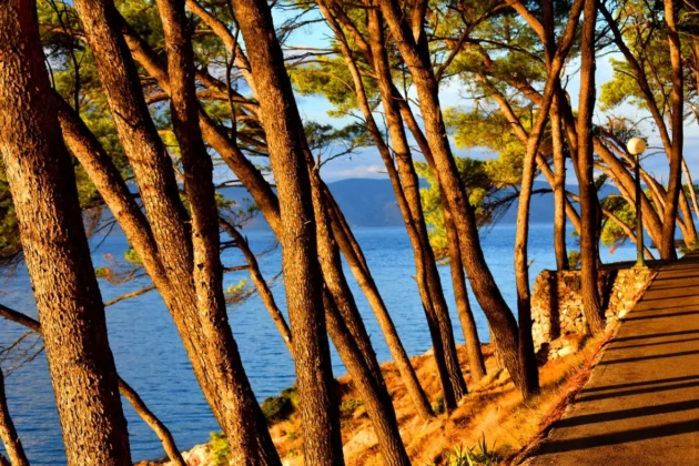 Lošinj mezi 100 nejlepšími příběhy udržitelného turismu
